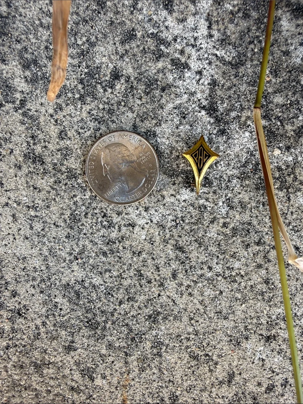 Gold Diamond-Shaped Enamel Pin with Black Logo